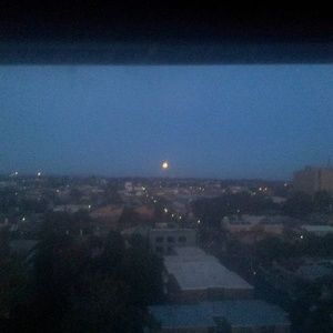 Meet your Posher, Ann